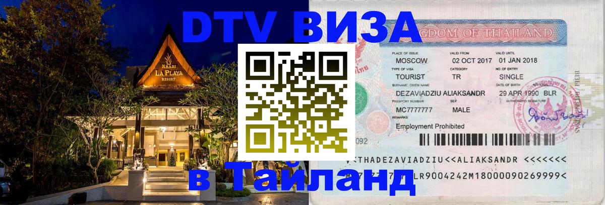 Оформление DTV визы под ключ: стоимость и тарифы, только загранпаспорт - 